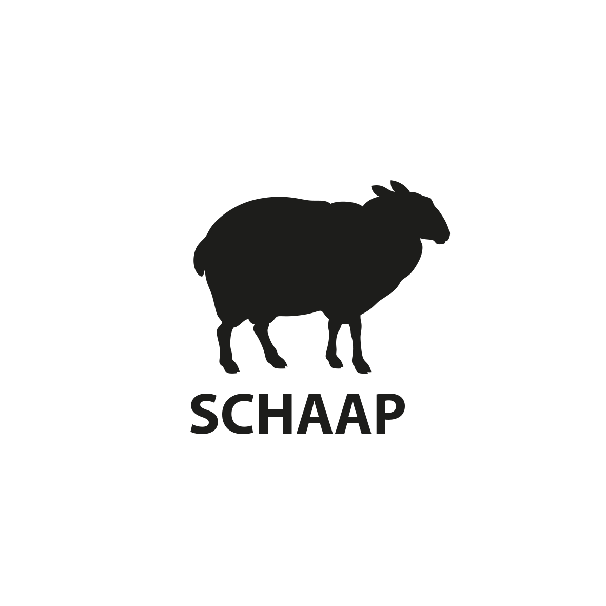 schaap