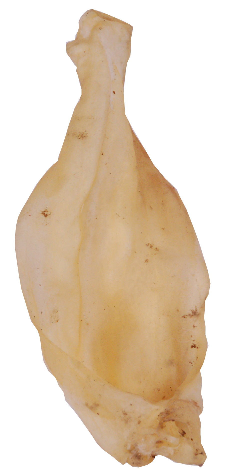 Lamsoren Bulk