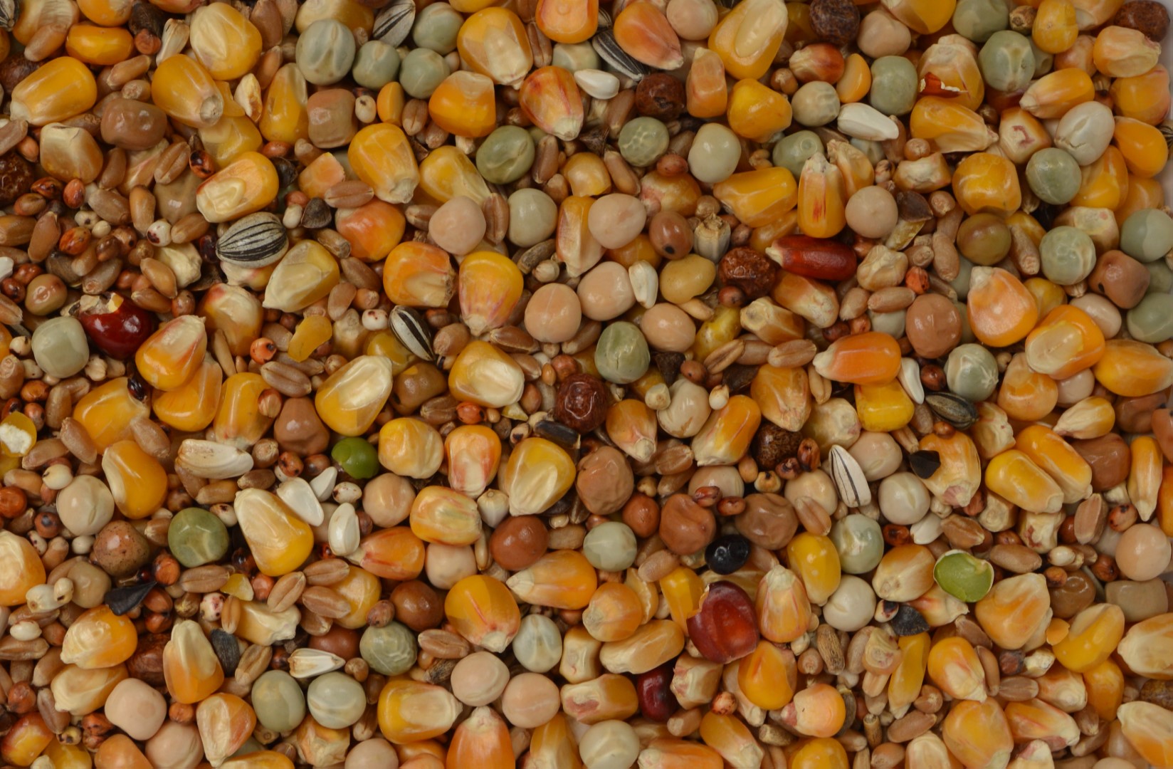 Allround Mix