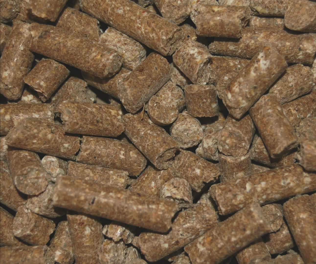 Paardenbrok 8mm