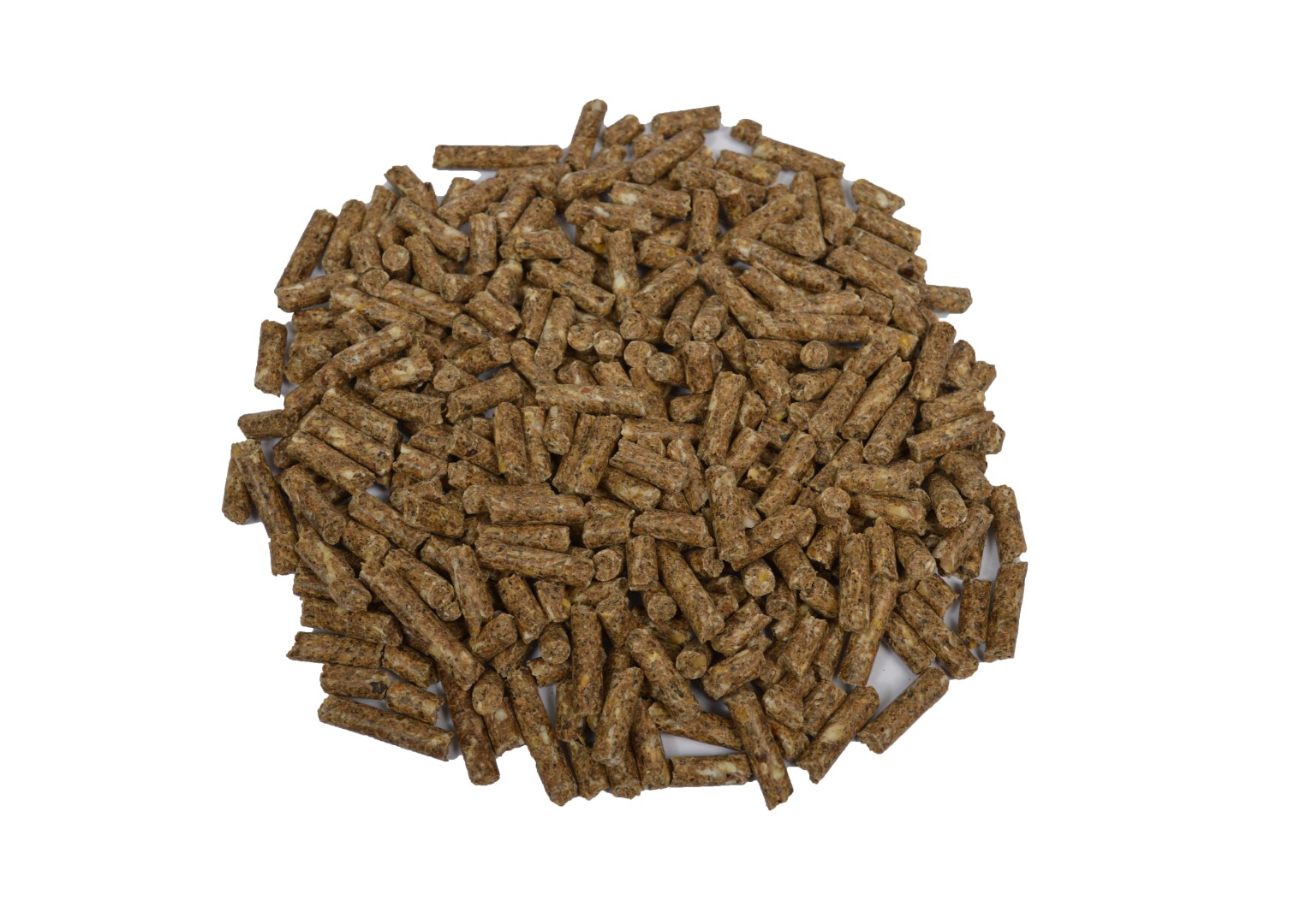 Zeugenkorrel 20kg