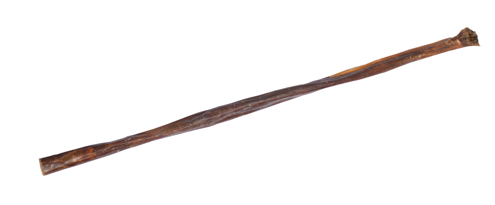 Rundvlees stang ca60cm Bulk