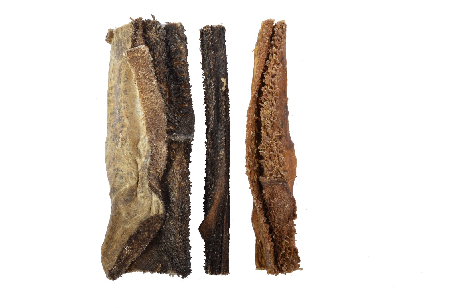 Lamspens Bulk