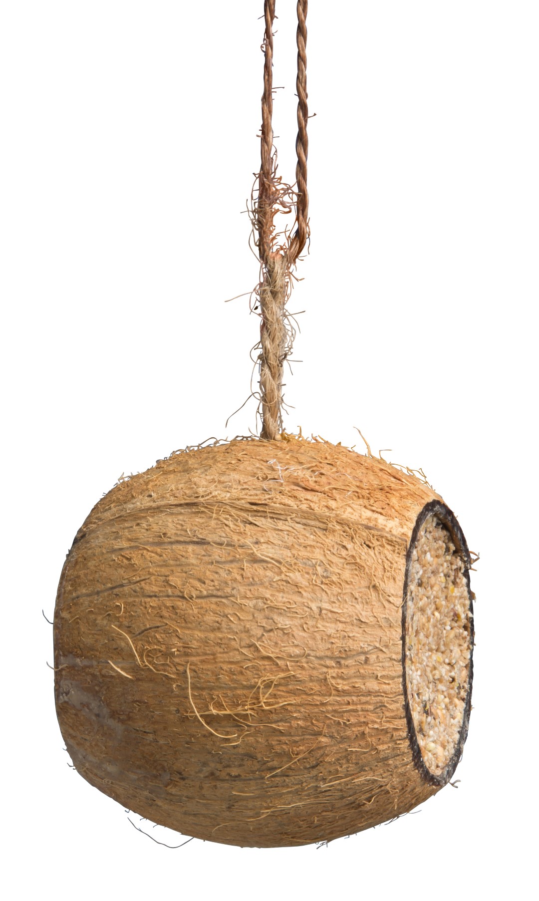 Cocosnoot gevuld Drum