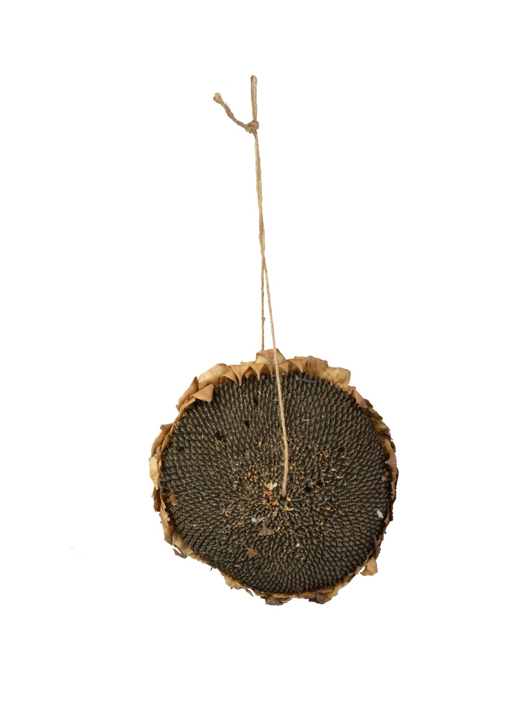 Zonnebloemkop Zwart L