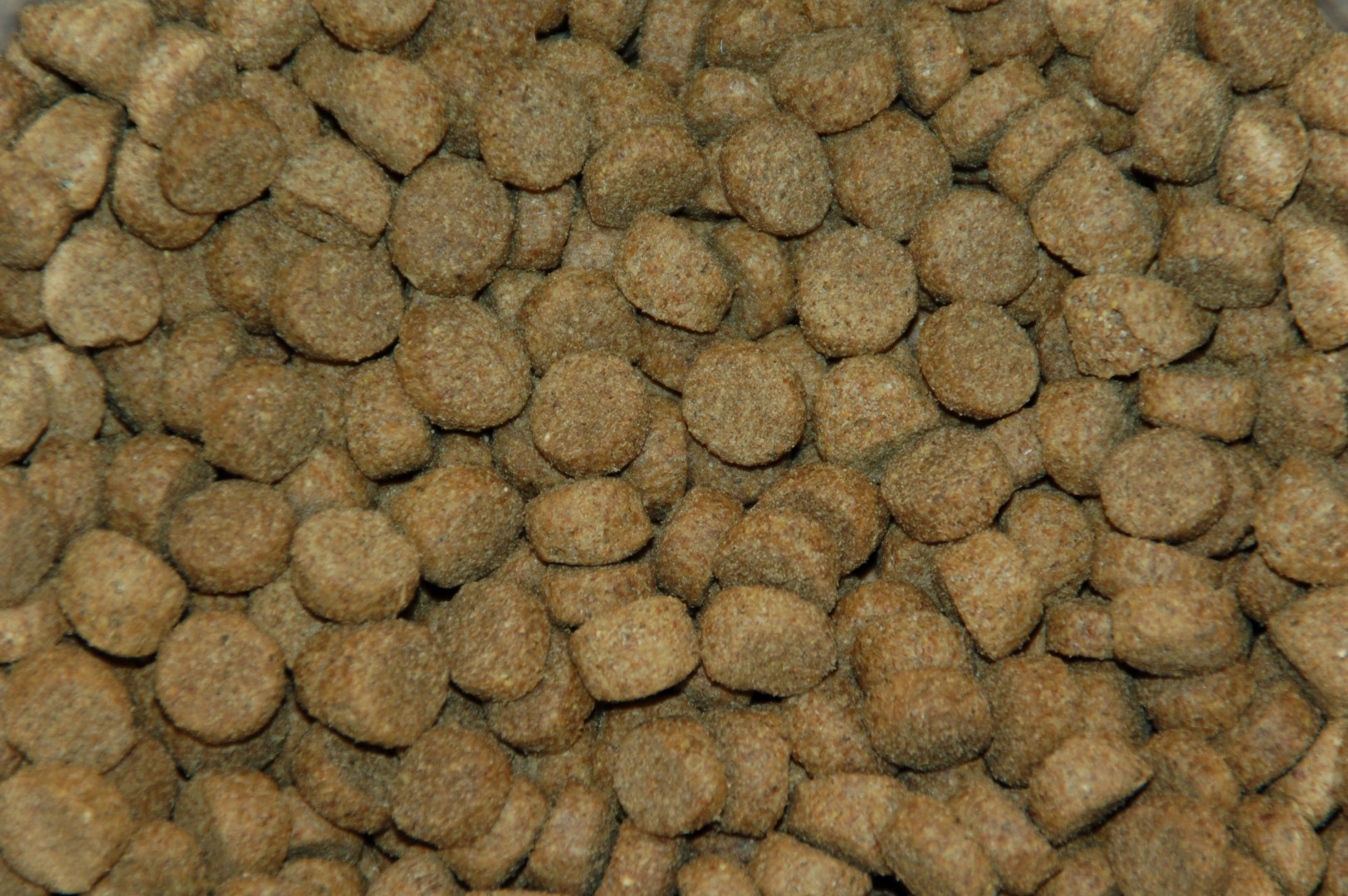 Krokant BLANCO (Extruded Adult)