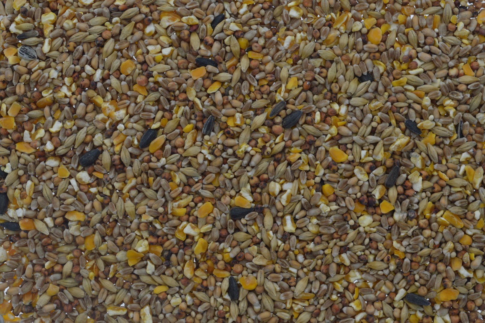 Voordeel Strooivoer 5kg