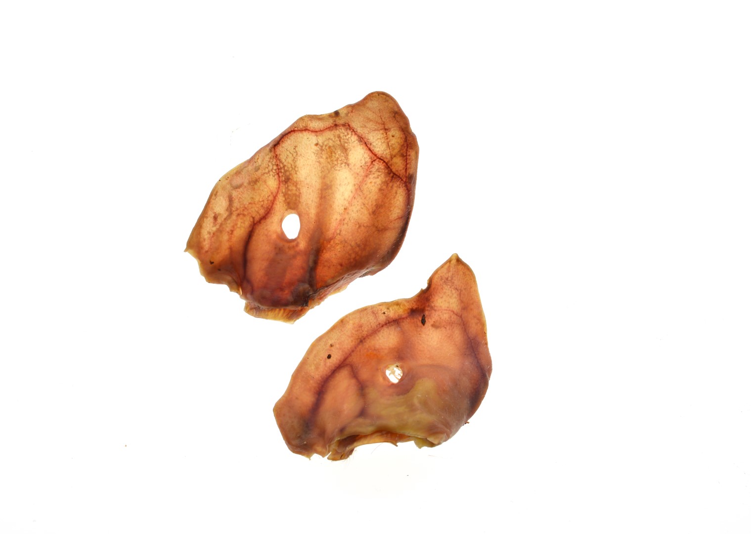 Varkensoren Bulk