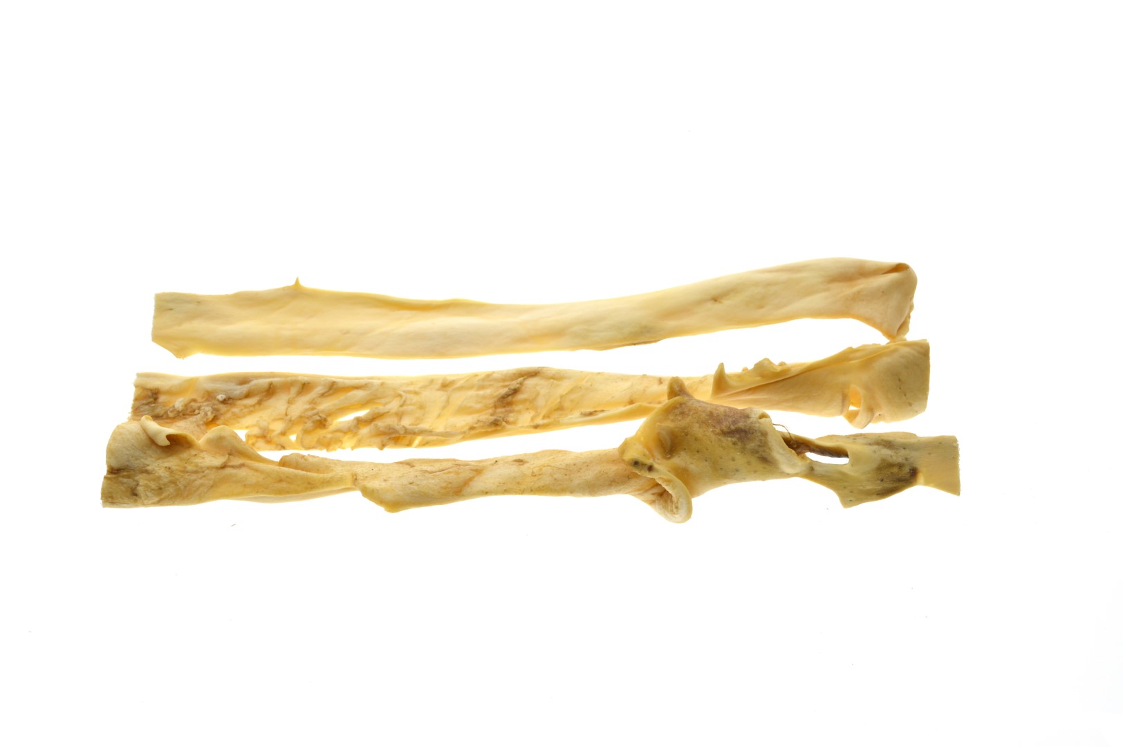 Runderkophuid ±40 cm Bulk