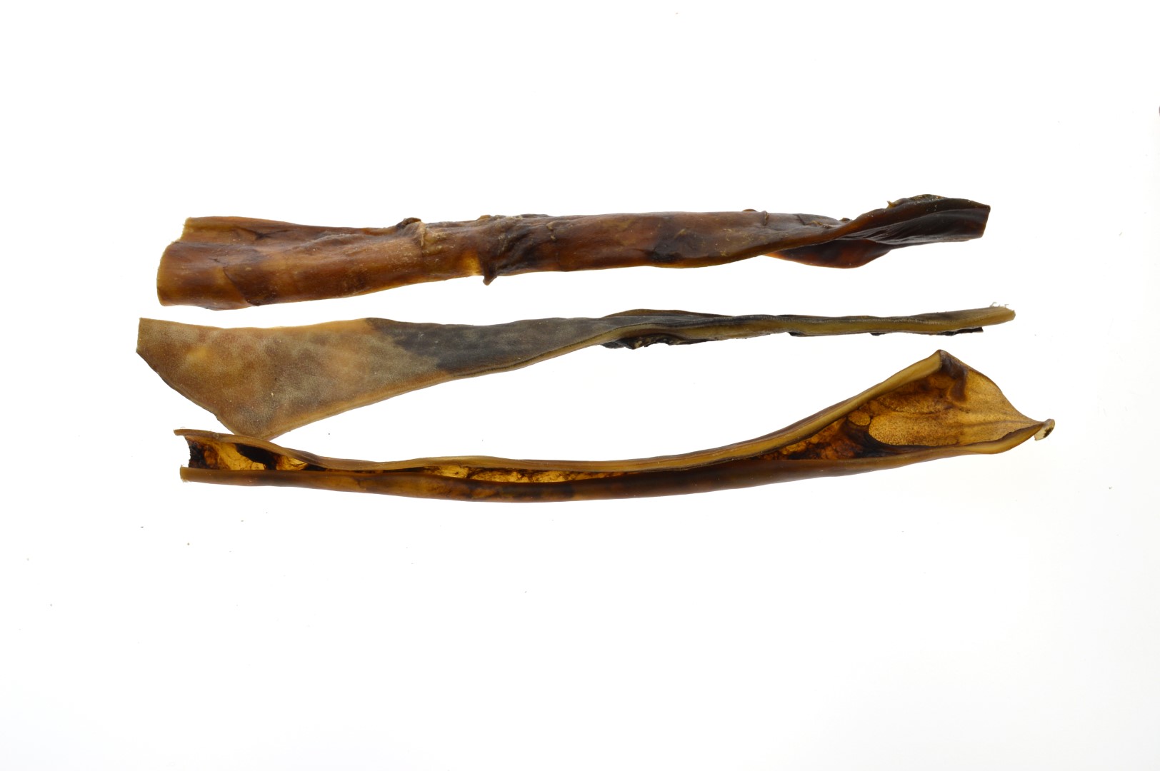 Kamelenkophuid ±40cm Bulk
