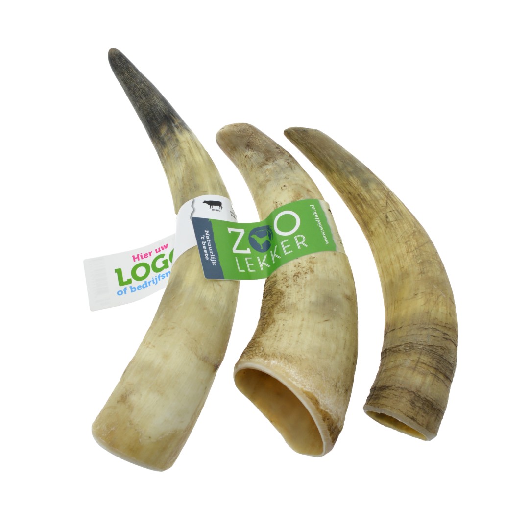 Cattle Horn M