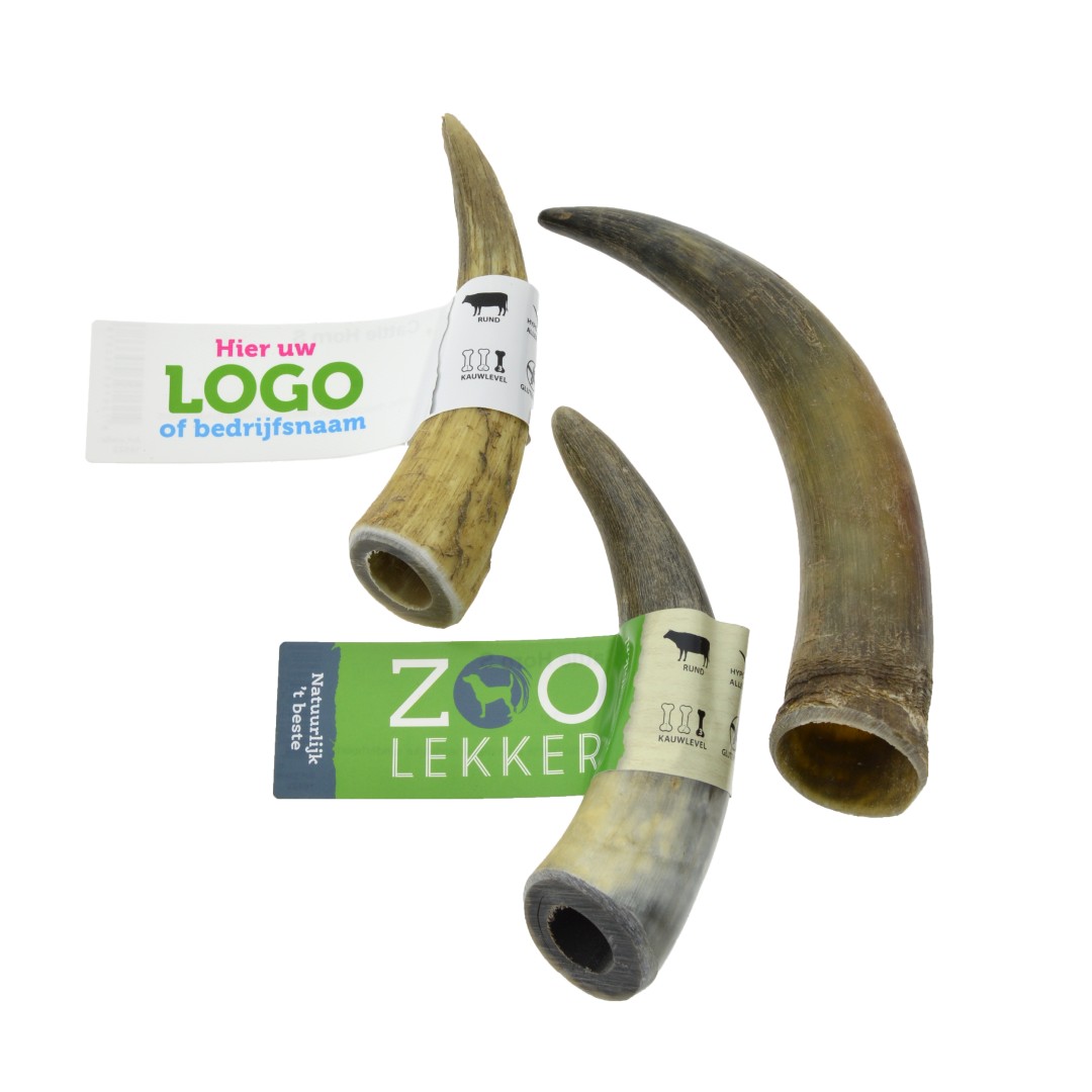 Cattle Horn S